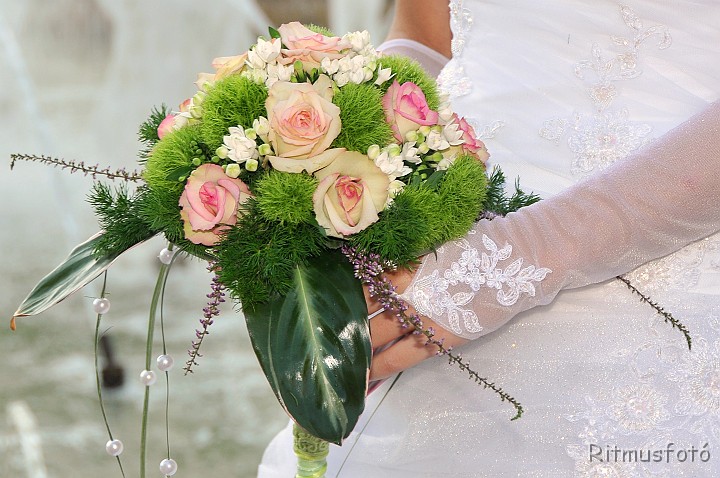 1200-_BUC_3259.JPG