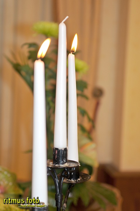 581_RIT_7726.JPG