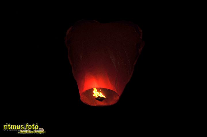 0722_BUC_1553.JPG