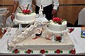 RIT_2955